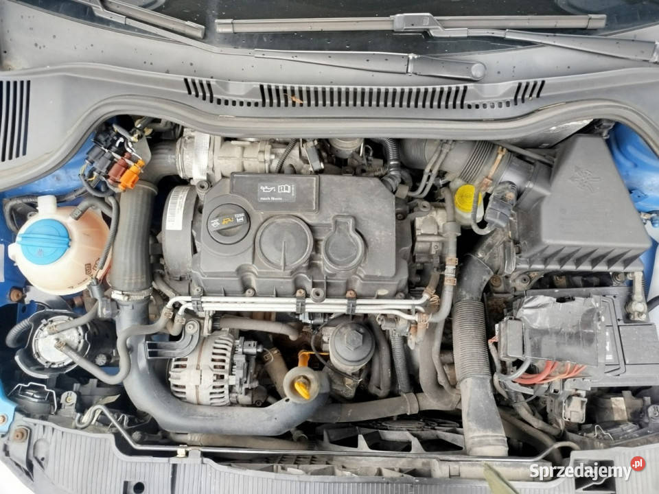 Seat Ibiza KLIMA zadbana bez wkładu z niemiec IV Toruń