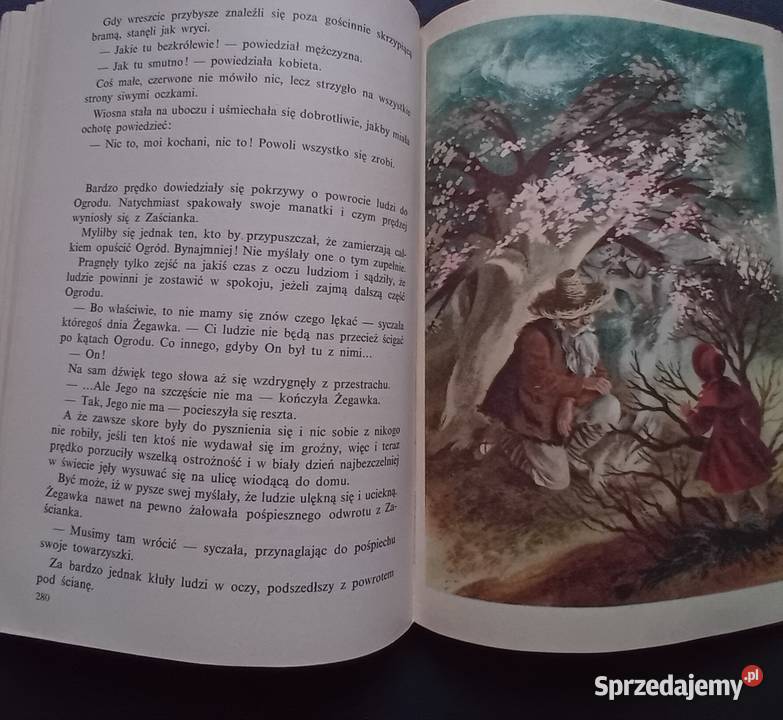 Ewa SzelburgZarembina Królestwo bajki Nasza Koźminek