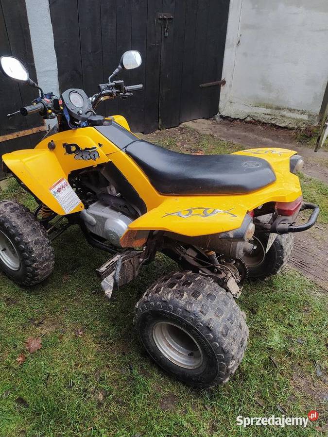 Quad CanAm DS 250 Kamienica Szlachecka