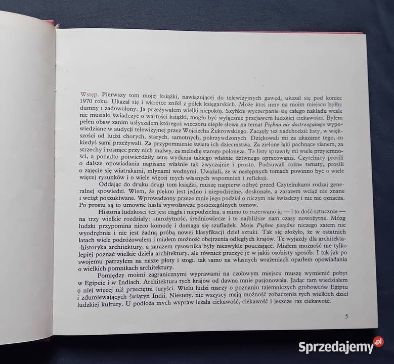 Wiktor Zin Piórkiem i węglem Piękno potężne Koźminek