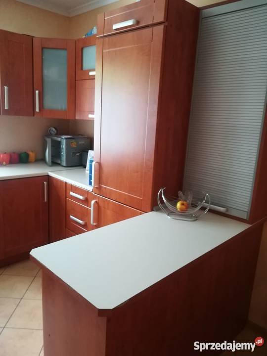 Sprzedam mieszkanie w bloku Karolew gm Borek papa Borek Wielkopolski