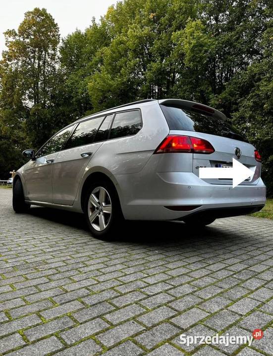 Volkswagena Golf VII 16 TDI lubuskie sprzedam