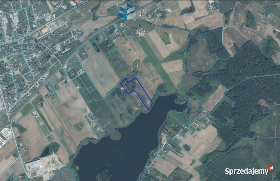 sprzedaży działki 31500m Nowa Wieś