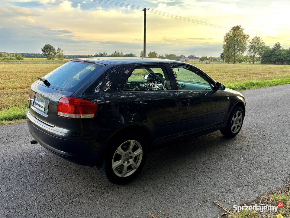 Audi A3 8p Międzyrzec Podlaski