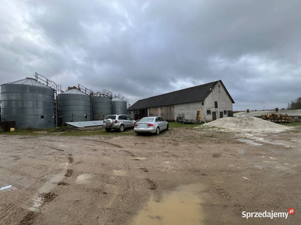 Syndyk sprzeda 12 nieruchomości Cimoszki gm 19zł/m2 sprzedam