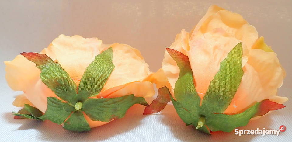 Róża rozwinięta brzoskwiniowa 1 śr 9 P1414 Siewierz sprzedam