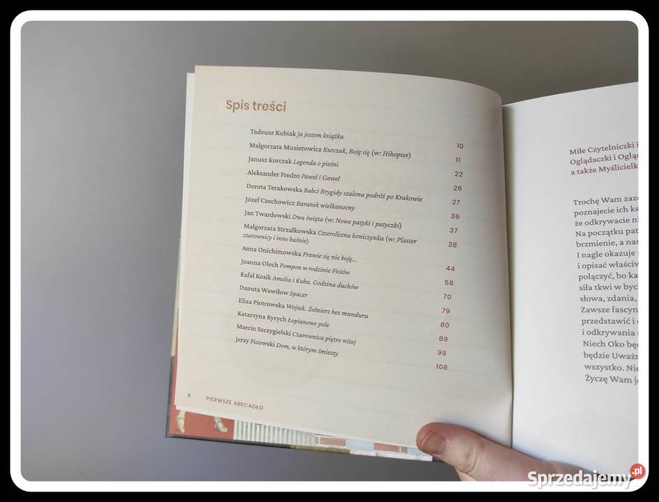 Pierwsze abecadło Instytut książki Płock sprzedam