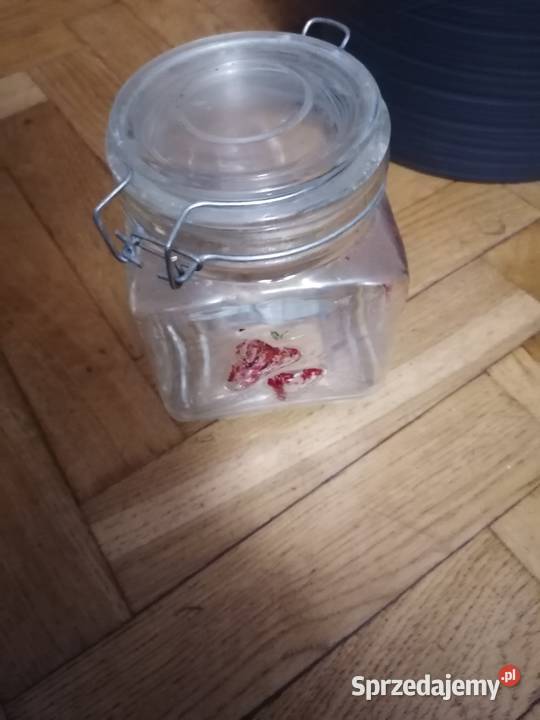 Pojemnik szklany z klamrą pomorskie