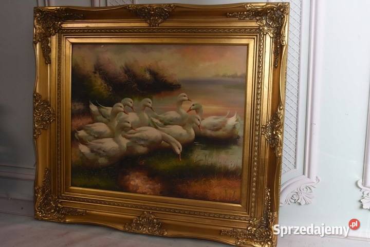 Rodzina Kaczek Pływające Kaczki Kaczka Złota Kraków sprzedam