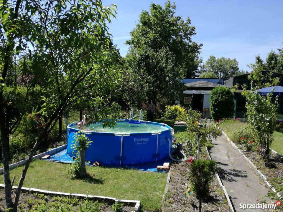 Ogródek działkowy ROD Jedność