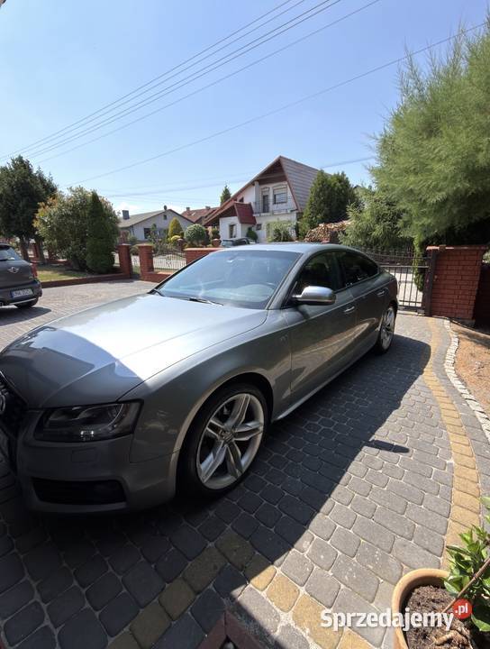 Audi s5 30 333 super stan nieuszkodzony Motoryzacja Namysłów sprzedam