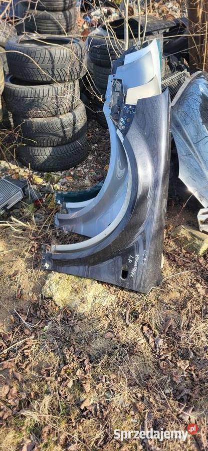 Błotnik Prawy Passat B 5 FL Różne Kolory małopolskie Żabno