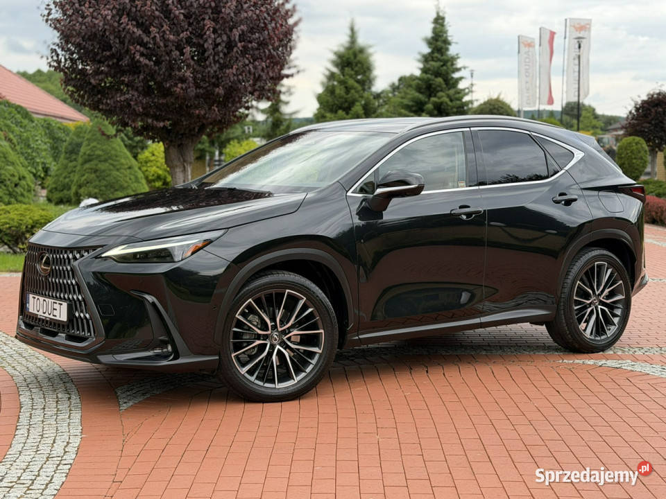 Lexus NX 350h Hybrid AWD Salon na Gwarancji asystent pasa ruchu Widełki