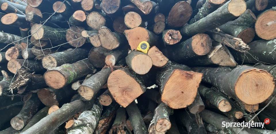 Drewnodrzewo opał rozpałka wiórka pomorskie Mortąg