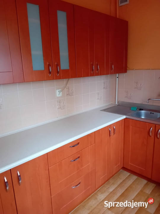 sprzedam mieszkanie Rok budowy 1949 świętokrzyskie