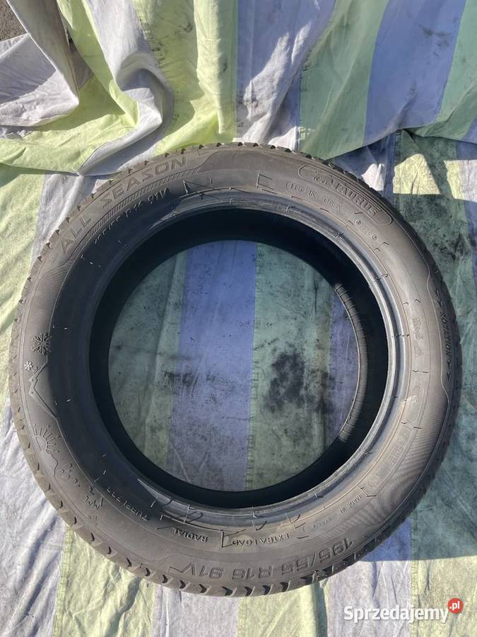 Opona Taurus 16 Gdańsk