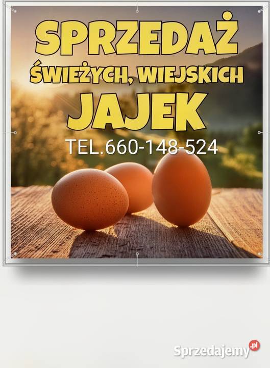 Jajka wiejskie łódzkie Piotrków Trybunalski