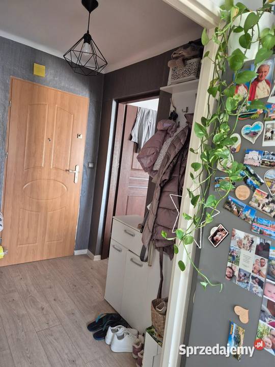 Wynajmę kawalerkę balkon sprzedam