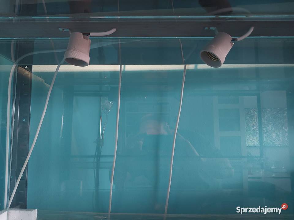 Terrarium szklane 80x40x40 z oprawkami Reda