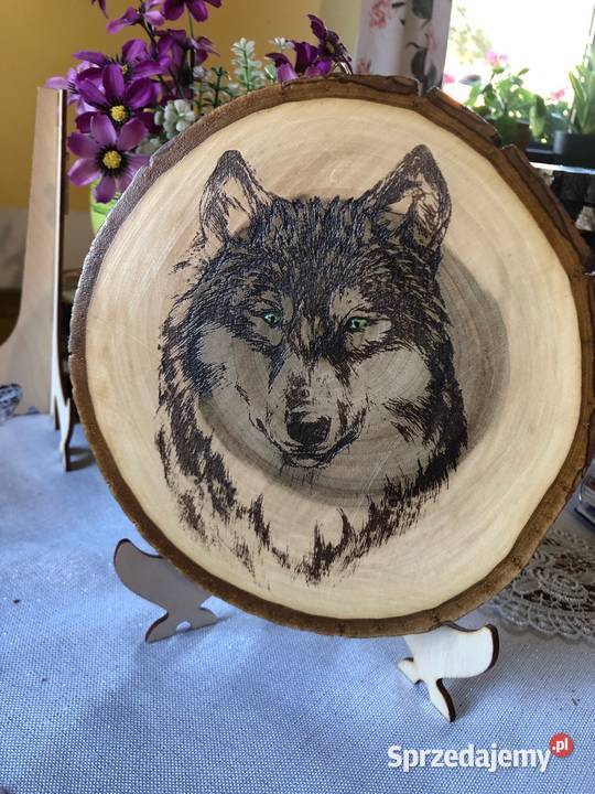 Obrazki wypalanewilk Strzyżów