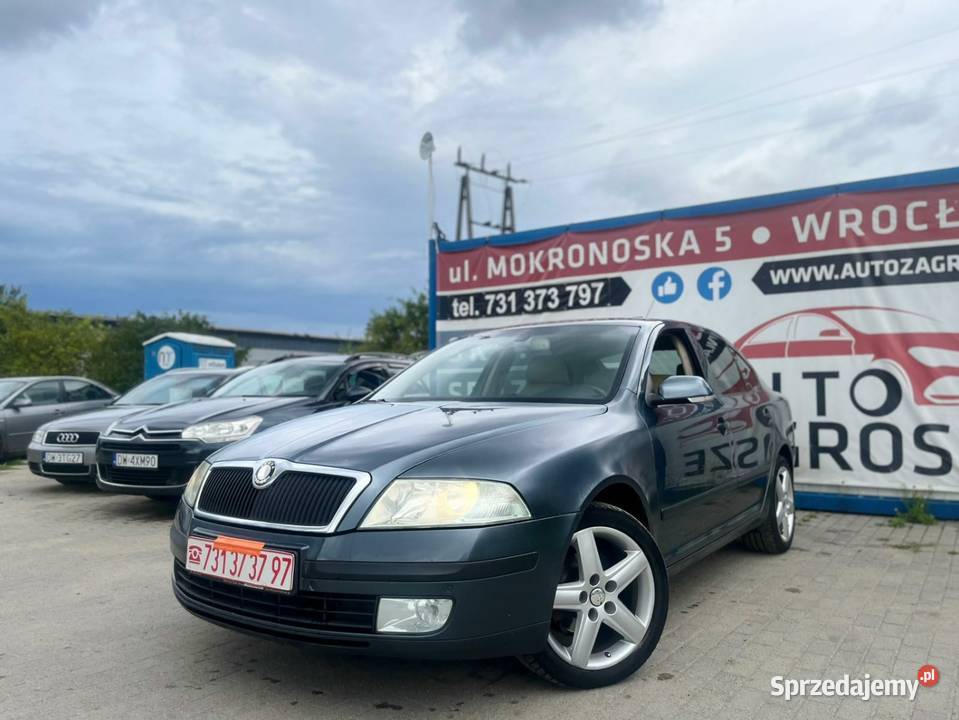 Skoda Octavia A5 19 TDI 2004 Liftback Klima