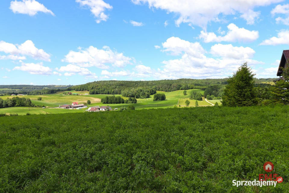 sprzedaży gruntu 4800m2 Olszanka