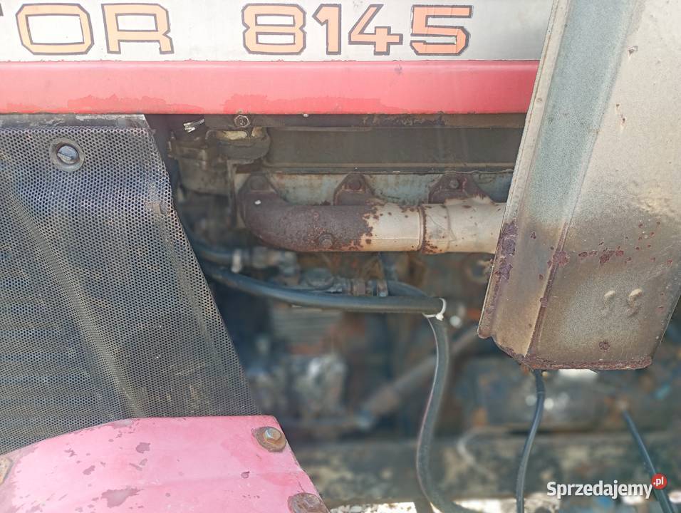 Zetor 8145 Luborzyca