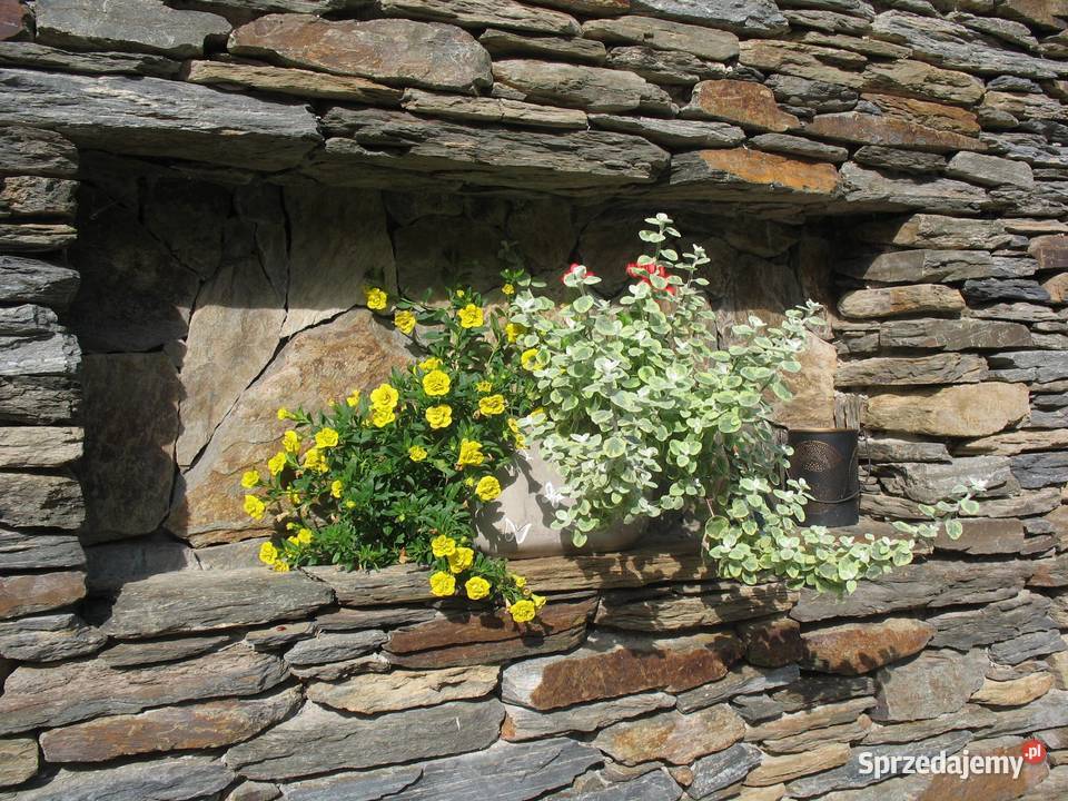 łupek na murki ogrodowe Księżyce