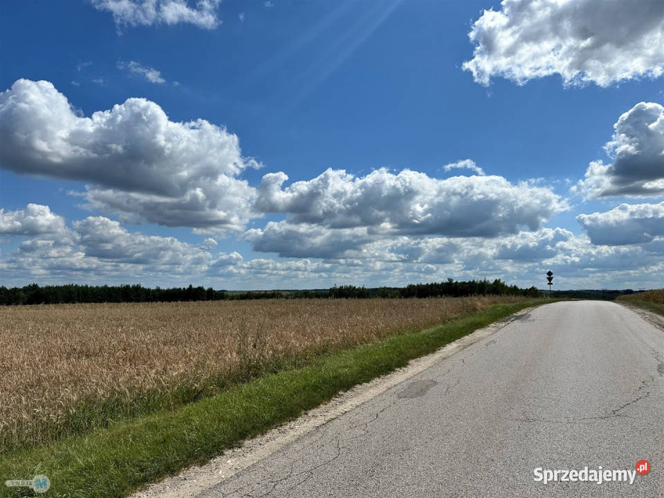 Grunt na sprzedaż Śladków Mały 3730m 3730m2 Sprzedaż