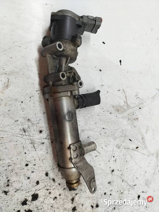 CHŁODNICA SPALIN 4U3Q9Y493BJ 27 HDI Peugeot 607