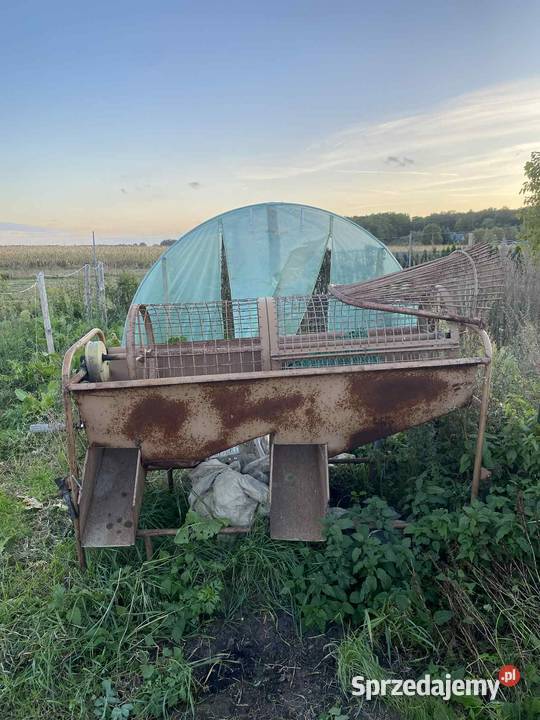 Sortownik do ziemniaków Strzelno