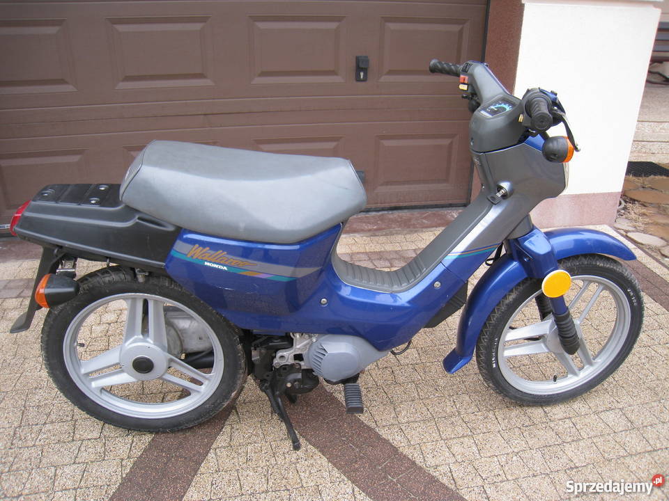 Honda Wallaroo Warszawa
