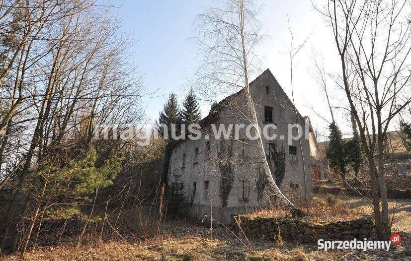 Na sprzedaż działka siedliskowa w Grzmiącej ze 5400m2 Grzmiąca