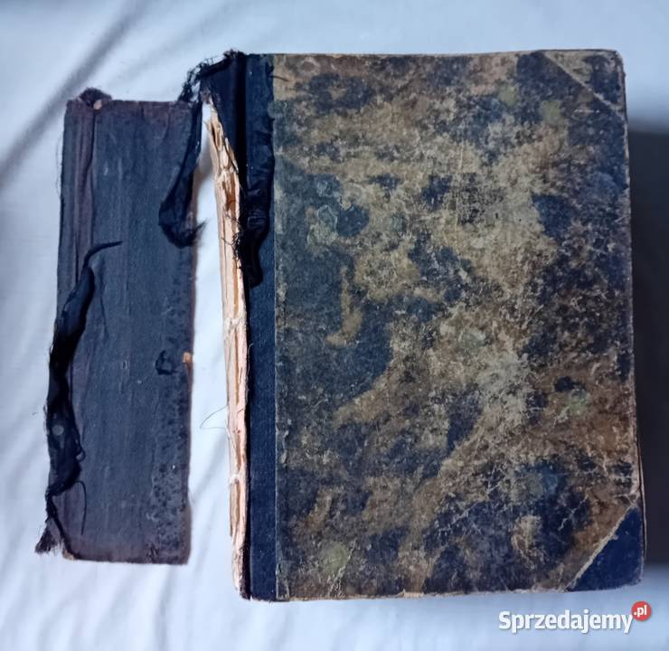 Gustav A Ritter Deutschlands Wunderhorn Około Koźminek