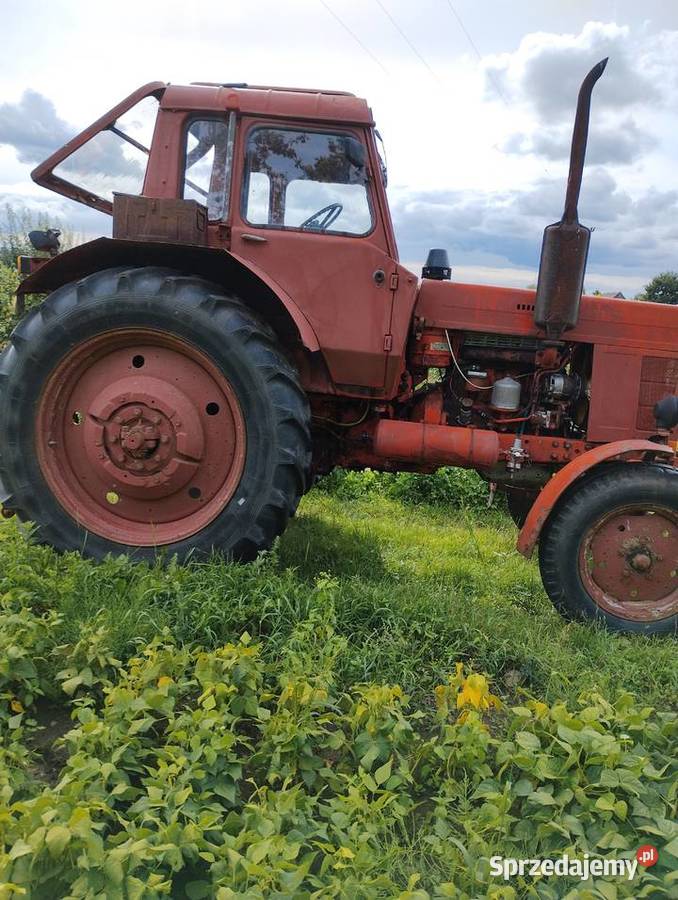 mtz 80 wielkopolskie Piecewo