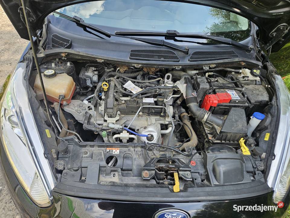 FORD FIESTA 10 bez turbo 20162017r 998cm3 Fiesta łódzkie Piotrków Trybunalski