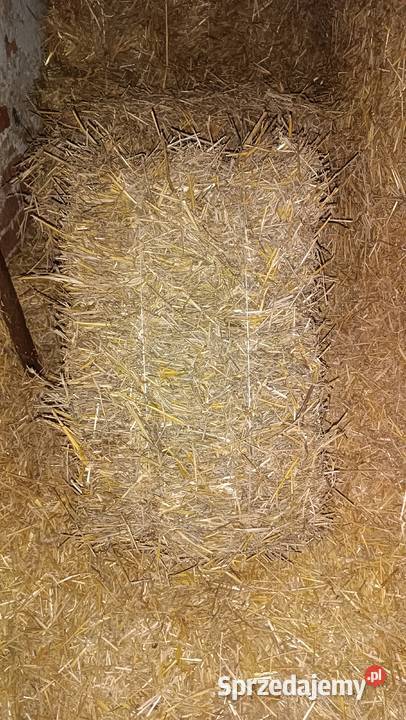 Słoma kostki Kutno