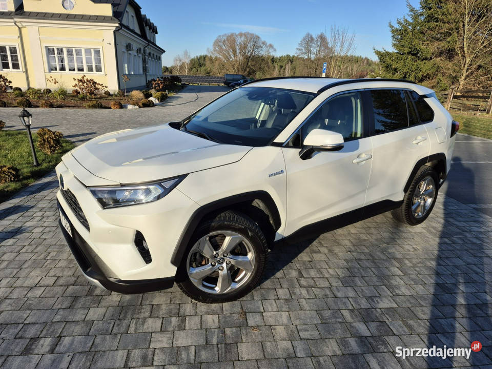 Toyota RAV4 25 hybryd Business Edition KAMERA Drelów