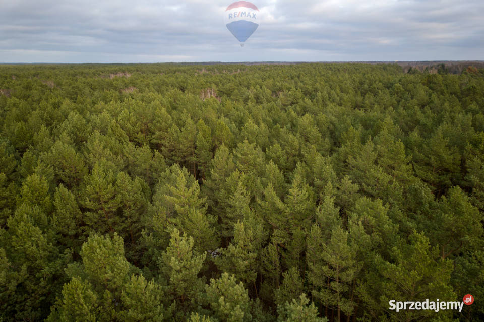 Sprzedażdziałka z MPZP1900 m2Łosie Radzymin