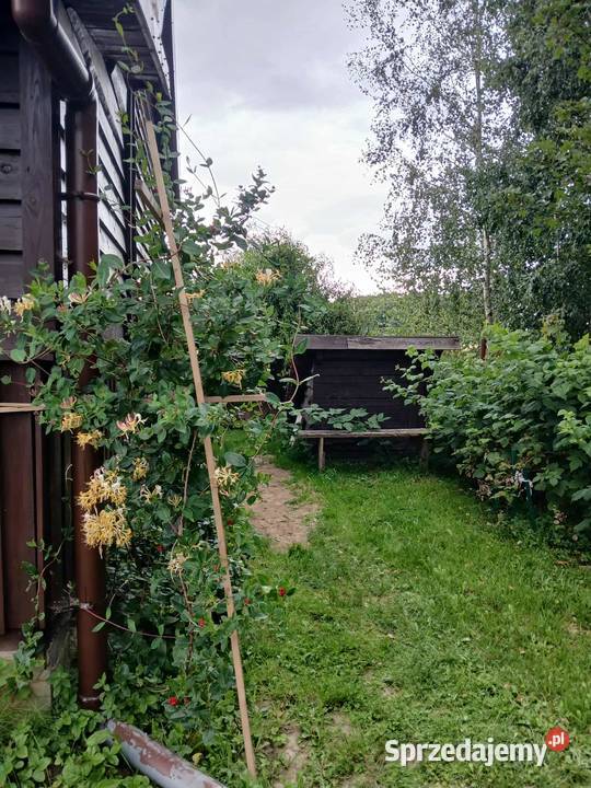 Sprzedam działkę na Mazurach Zachodnich 1492m2 Wólka Majdańska