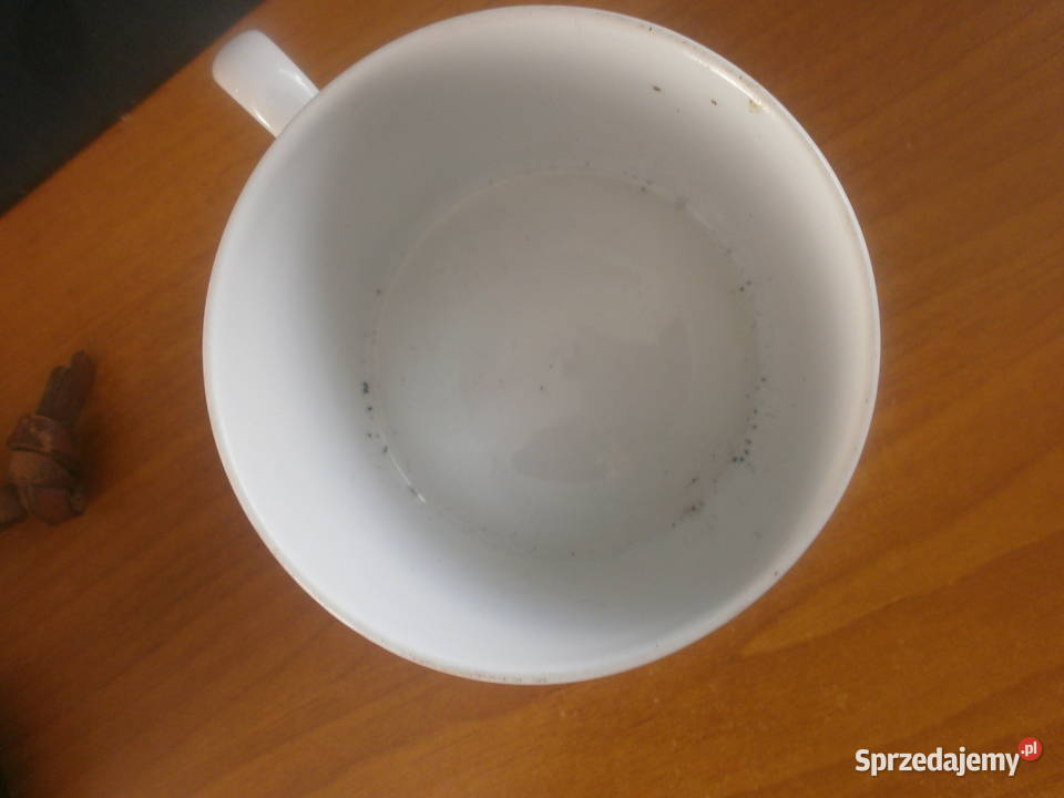 MITTERTEICH PORCELANA FILIŻANKA Zielona Góra