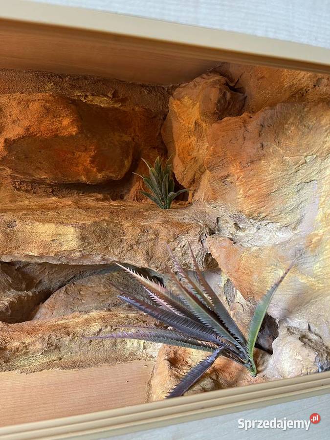 Drewniane terrarium wężajaszczurki Łobzów