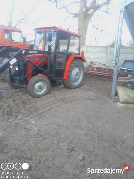 Massey Ferguson 235 lubuskie Chwalim sprzedam