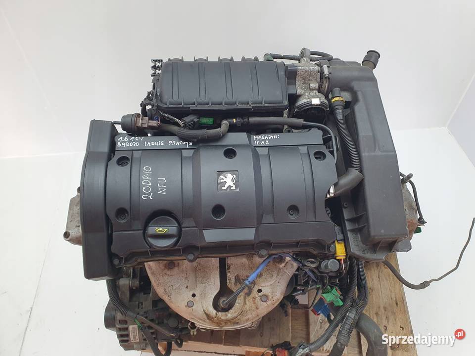 SILNIK KOMPLETNY Peugeot 1007 206 207 307 308 Rudka