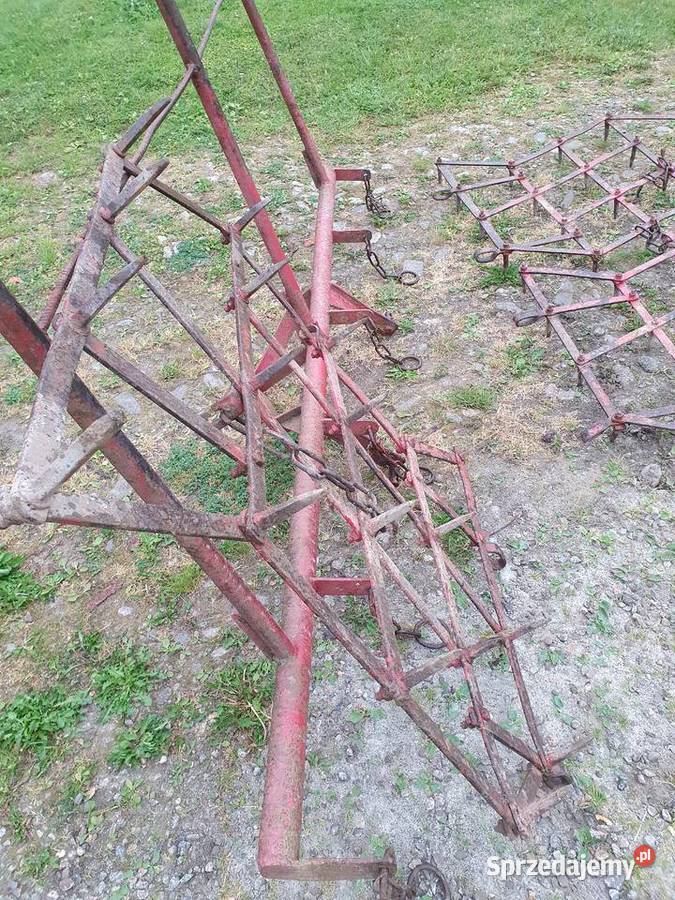 Brony 3 polowe Rożnów