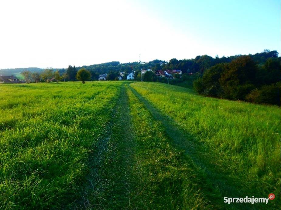Syndyk sprzeda widokowe działki w Strzyżowie Strzyżów sprzedam