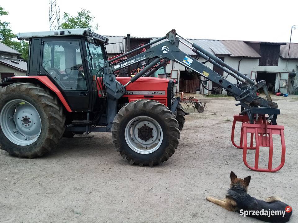 Massey Ferguson 3090 traktor 1073085 3075 MF Sochaczew