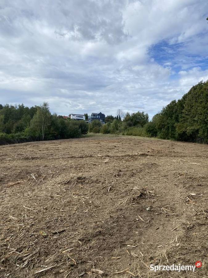 Karczowanie działek pod inwestycje Tomaszkowice ogród