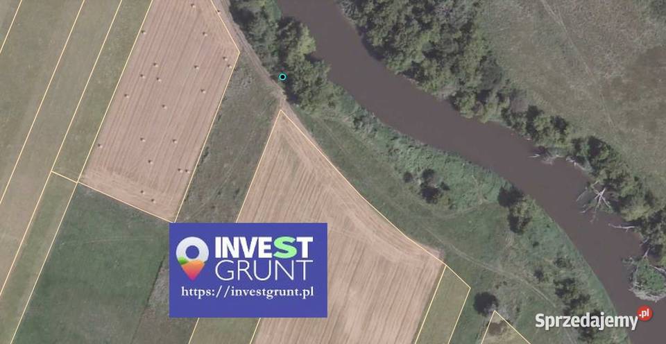 2642 ha przetarg na dzierżawę gruntów rolnych Łuszków