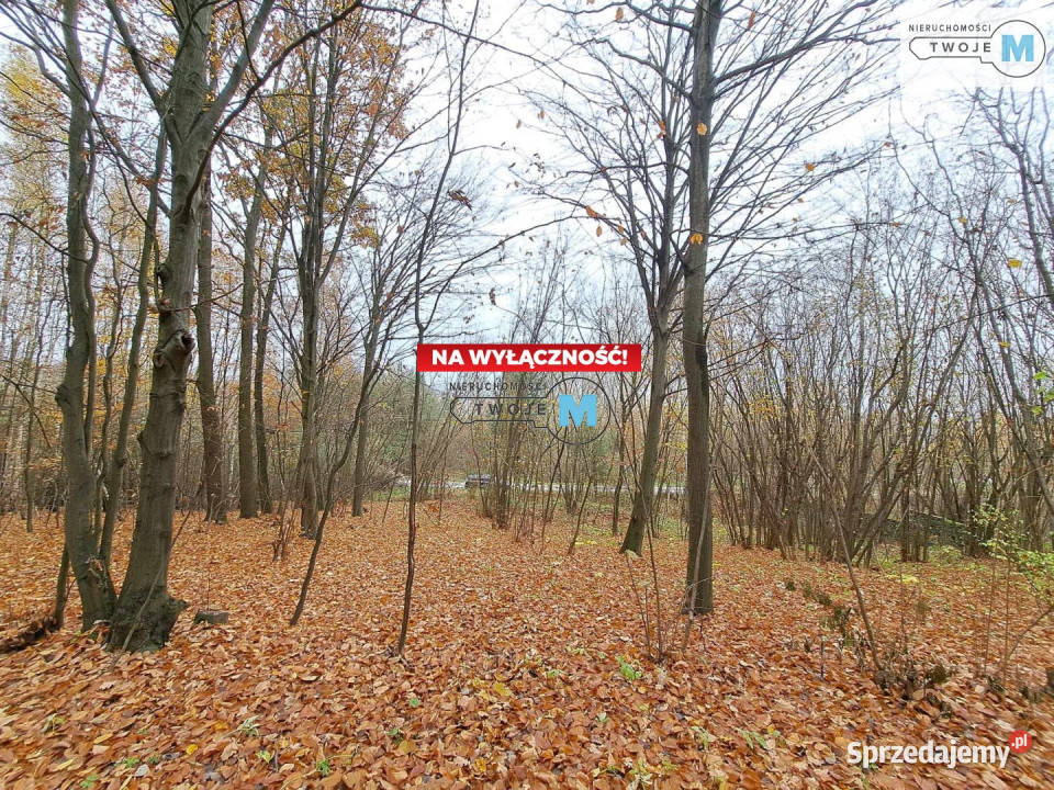 Grunt Chęciny 9900m2 sprzedam
